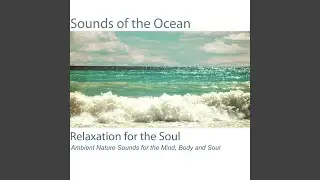 Calm Atlantic Ocean Waves (For Yoga, Meditation, Reiki, Spa and Sleep)