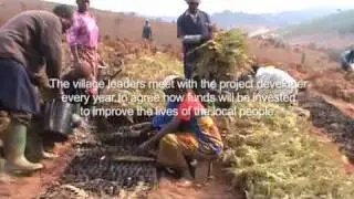 Carbon and Community from Green Resources