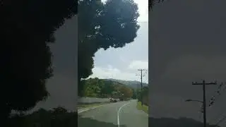 Norbrook Jamaica