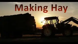 Making Hay - Northumberland