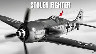 Why German Fighter Procedures Made This P-51 Escape Possible