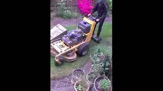 Man Stand-On Hustler Trim Star Lawn Mover Turf Tracer String Grass Cutter In Action [ Kent WA USA]