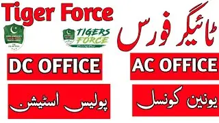 New Update In Tiger Force | AC Office | DC Office | Union Council In Tiger Force | Find Jobs