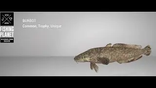 Fishing Planet - White Moose Lake - Trophy - Burbot - Float