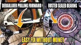 MTB Derailleur Pulling Forward with Backpedalling - MTB Freehub Body Bearing Service at Home