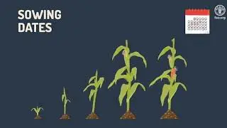 Agricultural Stress Index System &ndash; ASIS for Timor-Leste