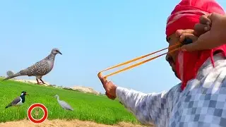 Can you hunt with a Slingshot!
