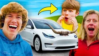 I Gave my Fan to a Tesla!