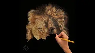 Drawing a LION