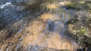 Silver Falls Canyon Trail hike 9