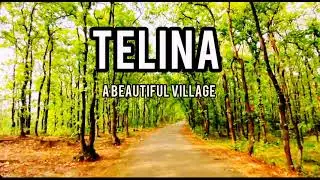 Telina | A Beautiful village | Mirzapur | Tangail | 2021