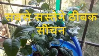 Drip irrigation in hindi | Sabse sasteme thibak sinchan