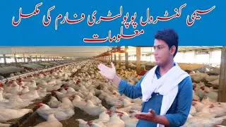 Sami control shed information ||Poultry farming in pakistan