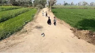 &ldquo;Village Kids Running to the Fields&hellip; Puppy Follows Them 🐶🌾&rdquo;
