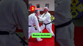 Wa-Jutsu Technique :  Ryo Sode O-Goshi