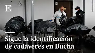 Ucrania: vecinos de Bucha intentan identificar a sus familiares en la morgue | EL PAÍS