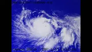 Typhoon Gay 1992