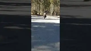 Ken riding on 3n09 Big Bear Lake 12.4.17