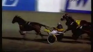 1995 Inter Dominion Heat 8 - Golden Reign