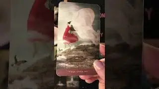Self Reflection Exercise | Wash Over Me | Silent Oracle