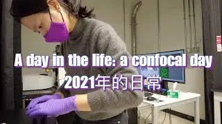 A day in the life: a confocal day | 2021年平平无奇的一天