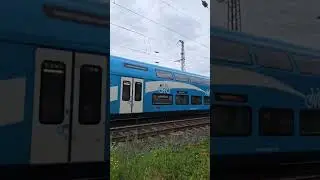 📦 DHL, Arverio und DB Regio #trainspotting #train #railtrack #g&uuml;terzug #railway #regio