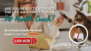 Functional Medicine: How to become Certified Holistic Pet Health Coach