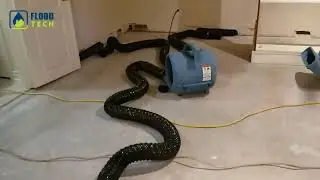 Basement Flooding Services