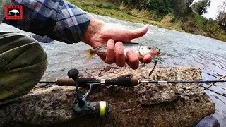 ULTRALIGHT NAS CORREDEIRAS GELADAS | Saicangas com isca micro
