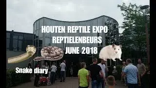 HOUTEN REPTILE EXPO+what i got? 06.18REPTIELENBEURS