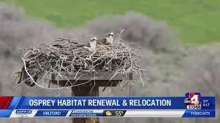New osprey nesting platforms installed near Utah Lake