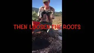 Planting with Marin County Parks