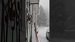 Snow!! More Snow Here In the Great Lakes Region! #snowglobelife #michigansnow #winter