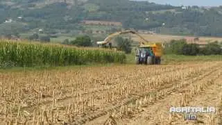 Trinciato mais 2014 -- Krone big X 850 -- Landini powermaster 220