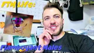 FTM Life: Flamboyant Males | PTHC Prep!