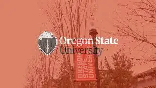 OSU BA-280 Group 7 PSA video on homesickness