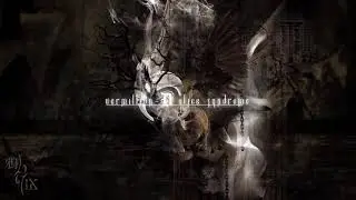 Vermillion-D Alice Syndrome - H&Sigma;X.D