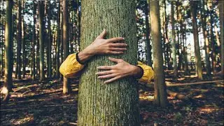 TUTORIAL: COME ABBRACCIARE UN ALBERO