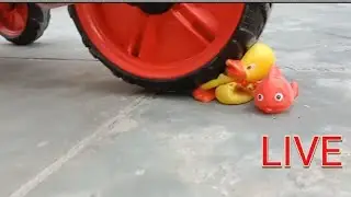 How to first Experiment cycle vs toothpaste vs baby toy & vs Gucci box|crushing different things