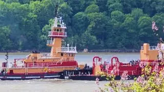 TUGBOAT MORGAN REINAUER at Work on the Hudson River in NYC
