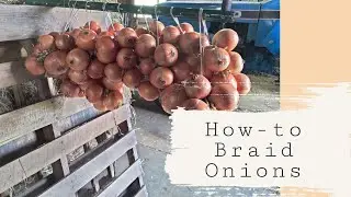 How To String Up Your Homegrown Onions
