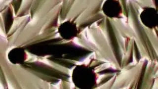 ethyl4 benzoate