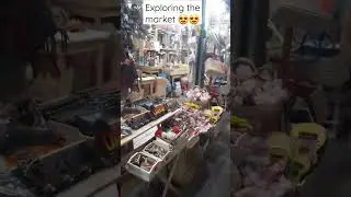Huge Marketplace with Dozens of Vendors, Dowtown Recife, Brazil 🇧🇷😍🔥🥰 #travelvlog #adventure #travel
