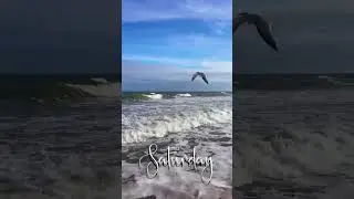 Shredding up the wave #surfing