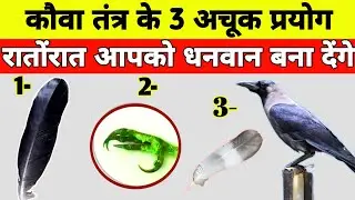 कौआ तंत्र से हर इच्छा पूरी होगी/धन पैसा, वशीकरण,जुआ सट्टा में जीत, अचूक उपाय