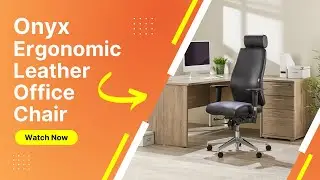 Onyx Ergonomic Leather Office Chair