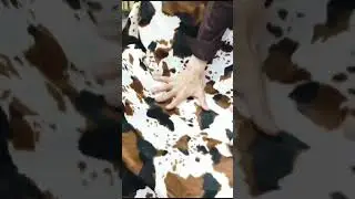 Fur Fabric | animal printed fabric