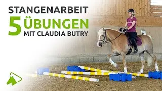 5 Ideen f&uuml;r die Stangenarbeit im Schritt | wehorse