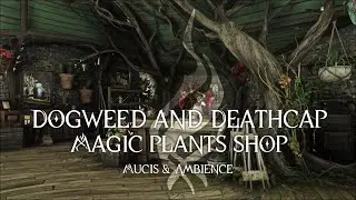 Dogweed and Deathcap : Magic plants shop | Music & Ambience