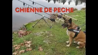 CHIENNE DE PECHE